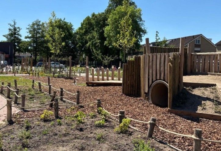 Website groen blauwe schoolpleinen